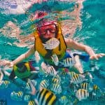 cozumel-snorkel