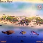 los arcos